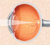 general-medicine img