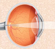 general-medicine img